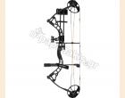 Diamond Compound Bow Infinite 305 Package